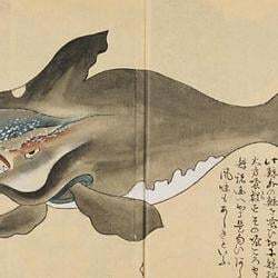 The Japanese Whale